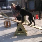 obstacles