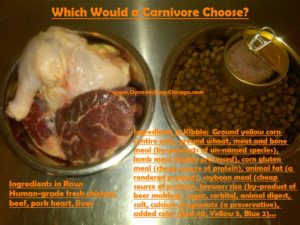 carnivorechoose